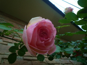 201205123