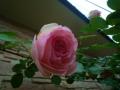 201205123