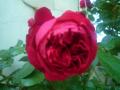 201205195