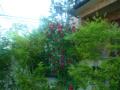 201205198