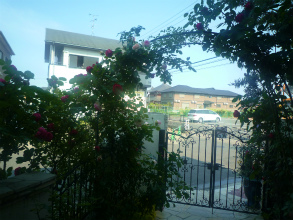 201205199