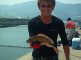 201205263