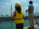 201205264