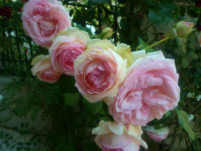 201205271