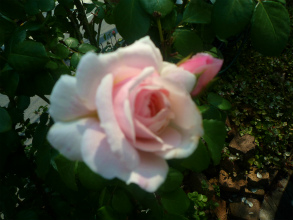 201205272