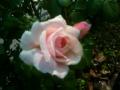 201205272
