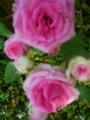201205274
