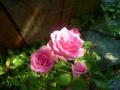 201205275
