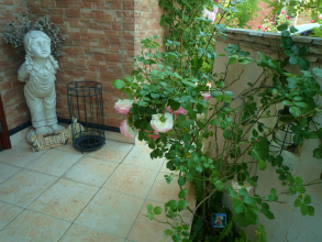 201205277