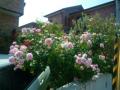 201205279
