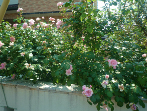 2012052710