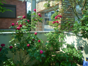 201205279