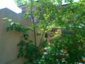 2012052710