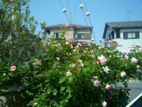 2012052711