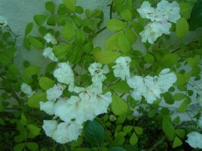 2012052712