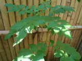 2012052713