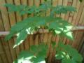 2012052713