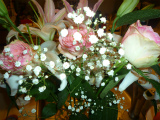 2012052722