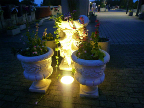 201206048