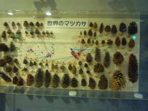 201206051