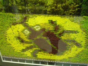 201206053