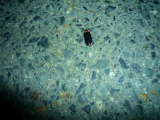 2012060514