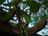 201206182