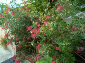 201206183