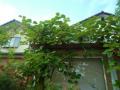 201206184