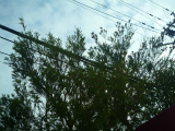 201206185