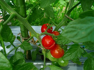 201207061