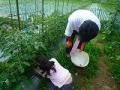 201207063