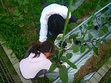 201207068