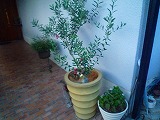 201207091
