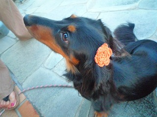 201207092