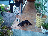201207094