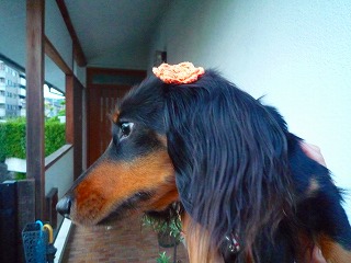201207095
