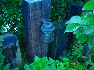 201207096