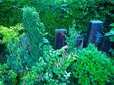 201207097