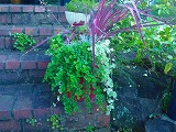 2012070910