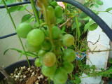 201207112