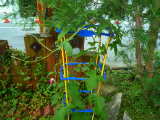 201207118