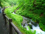 201207233