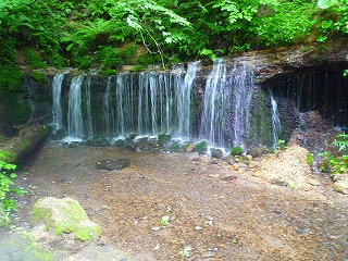 201207236