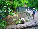 201207237