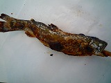201207239