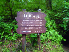 201207241