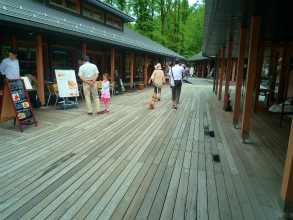 201207246