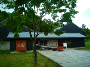 201207248