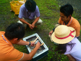 2012072625